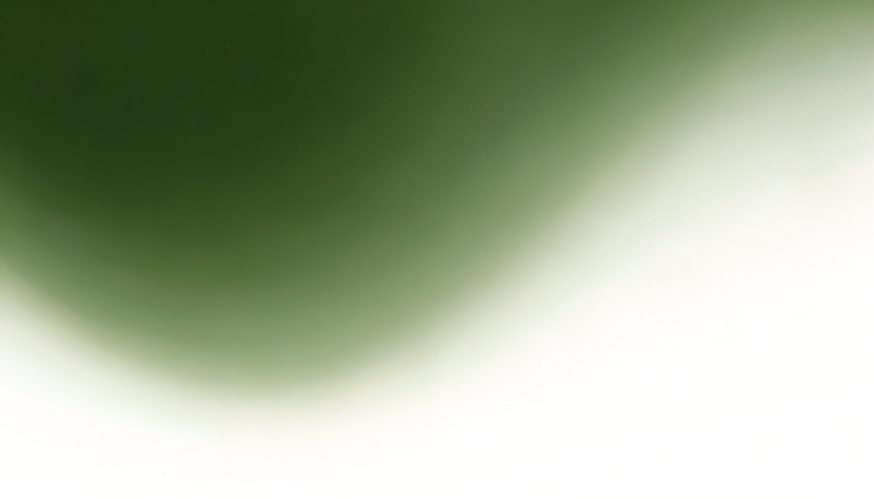 Composition abstraite en dégradé vert olive profond vers blanc crème, ambiance douce et naturelle